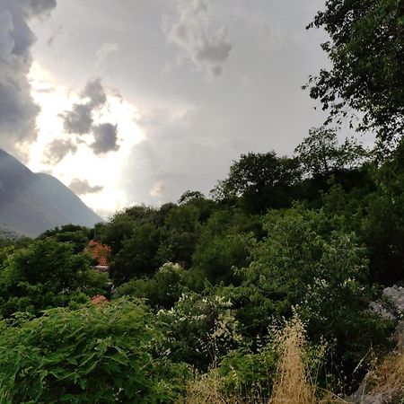 Mira 2 Apartman Zagvozd Kültér fotó